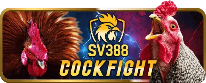Đặc quyền VIP Jun88v8